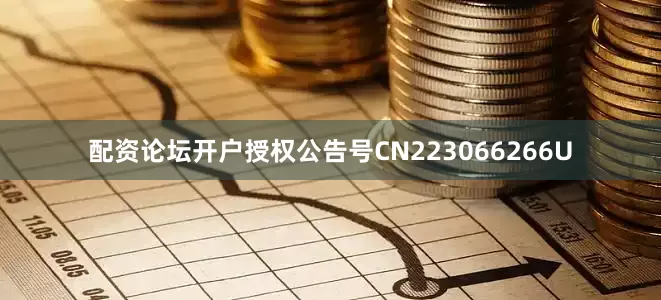 配资论坛开户授权公告号CN223066266U
