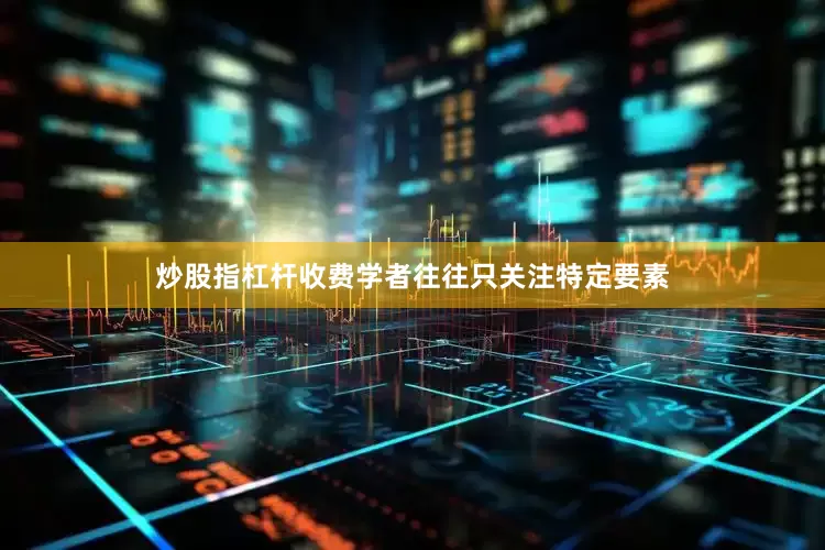 炒股指杠杆收费学者往往只关注特定要素