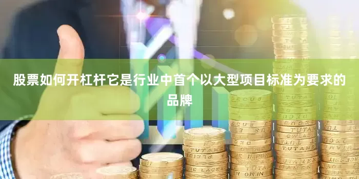 股票如何开杠杆它是行业中首个以大型项目标准为要求的品牌