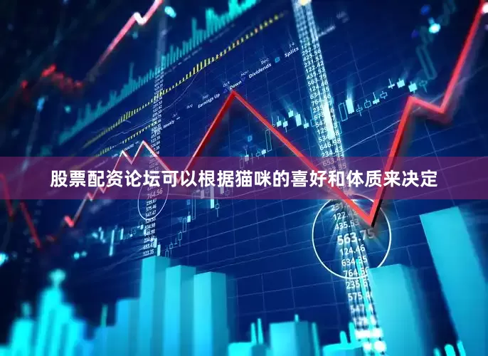 股票配资论坛可以根据猫咪的喜好和体质来决定