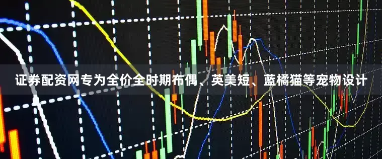 证券配资网专为全价全时期布偶、英美短、蓝橘猫等宠物设计