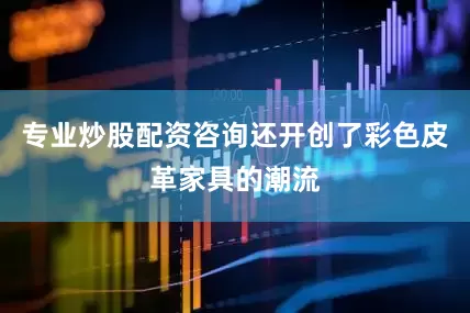 专业炒股配资咨询还开创了彩色皮革家具的潮流