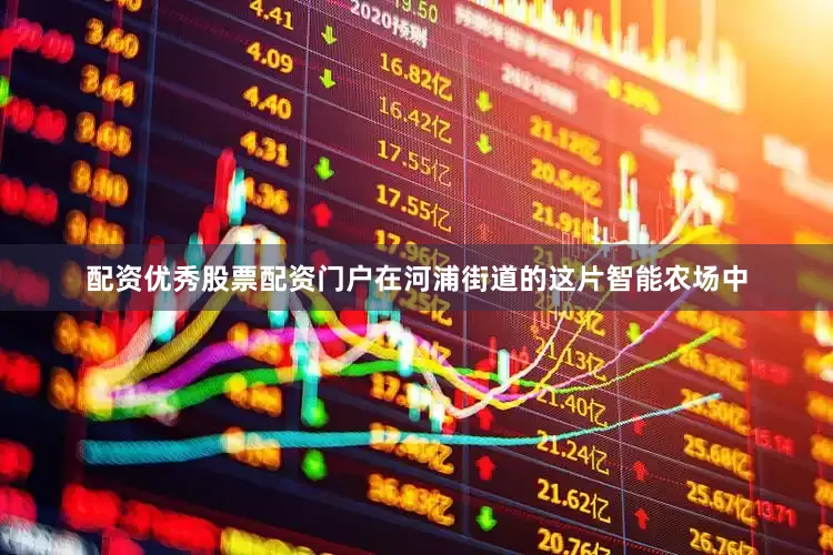配资优秀股票配资门户在河浦街道的这片智能农场中